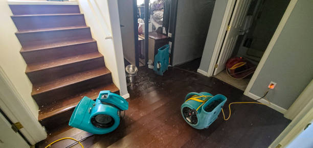 Best Local water damage restoration  in Paoli, IN