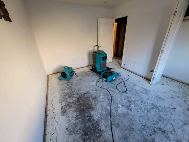 Best Carpet water damage restoration  in Paoli, IN