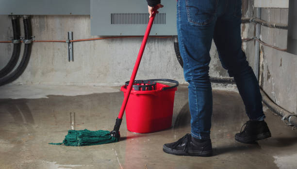 Best Emergency water damage restoration  in Paoli, IN