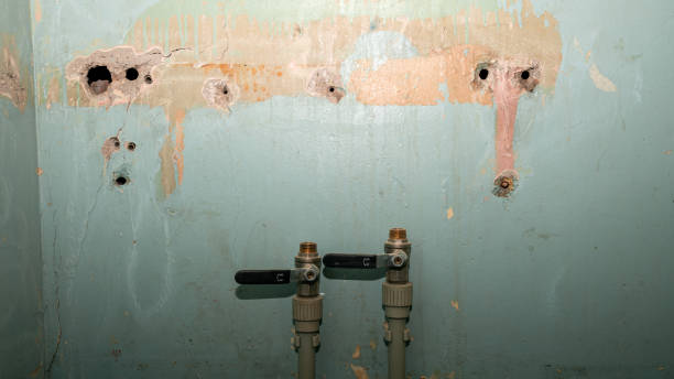 Best Professional water damage repair  in Paoli, IN