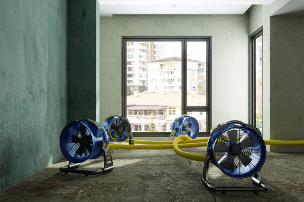 Best Commercial water damage restoration  in Paoli, IN