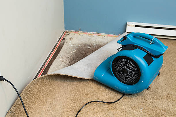 Best Water damage restoration insurance claims  in Paoli, IN